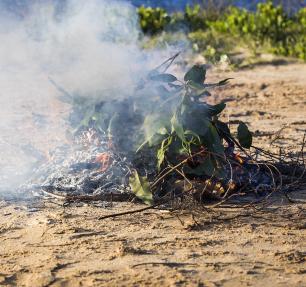 Leaves and twigs burning on a sandy ground