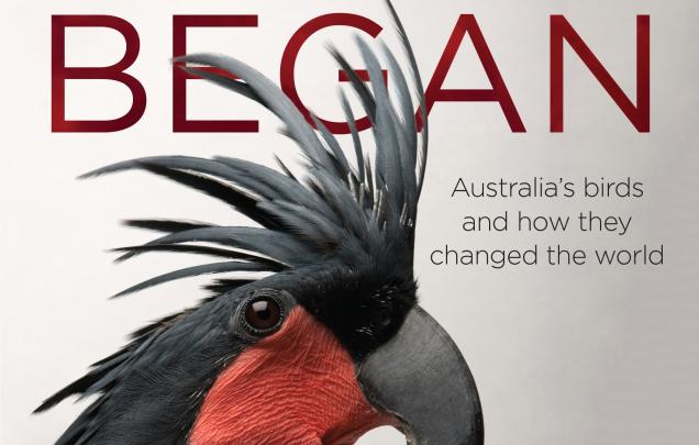 Where Song Began: Australia’s Birds and How They Changed the World Tim Low 