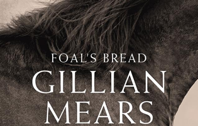Neck of a horse with mane of hair side view for book cover of Foal's Bread by Gillian Mears