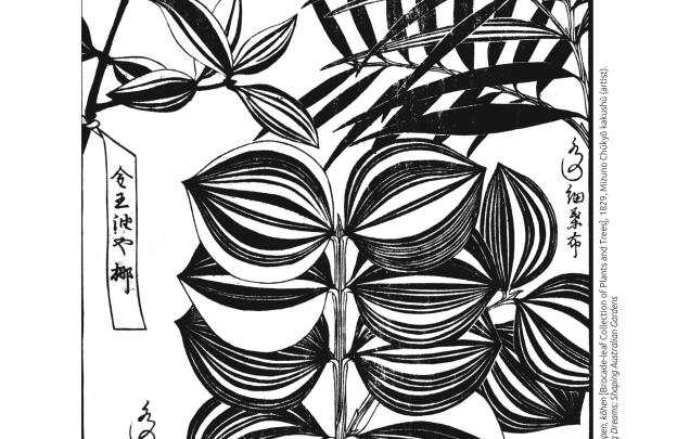 Sōmoku kin’yōshū: 7-kan. zenpen, kōhen [Brocade-leaf Collection of Plants and Trees], 1829, Mizuno Chūkyō kakushū (artist). From the exhibition Planting Dreams: Shaping Australian Gardens