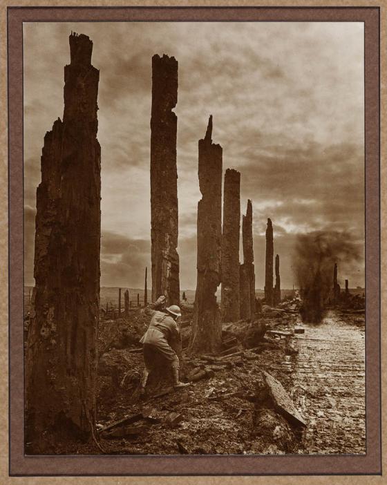 Battle scarred sentinels, 1917. Photographer: Frank Hurley.