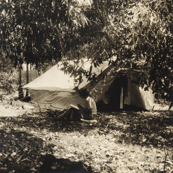 A sepia photograph of a woman sitting writing outside a canvas tent - the ground covered in eucalyptus leaf litter which has fallen from the branches that frame the photography. Drying washing hangs behind the tent.