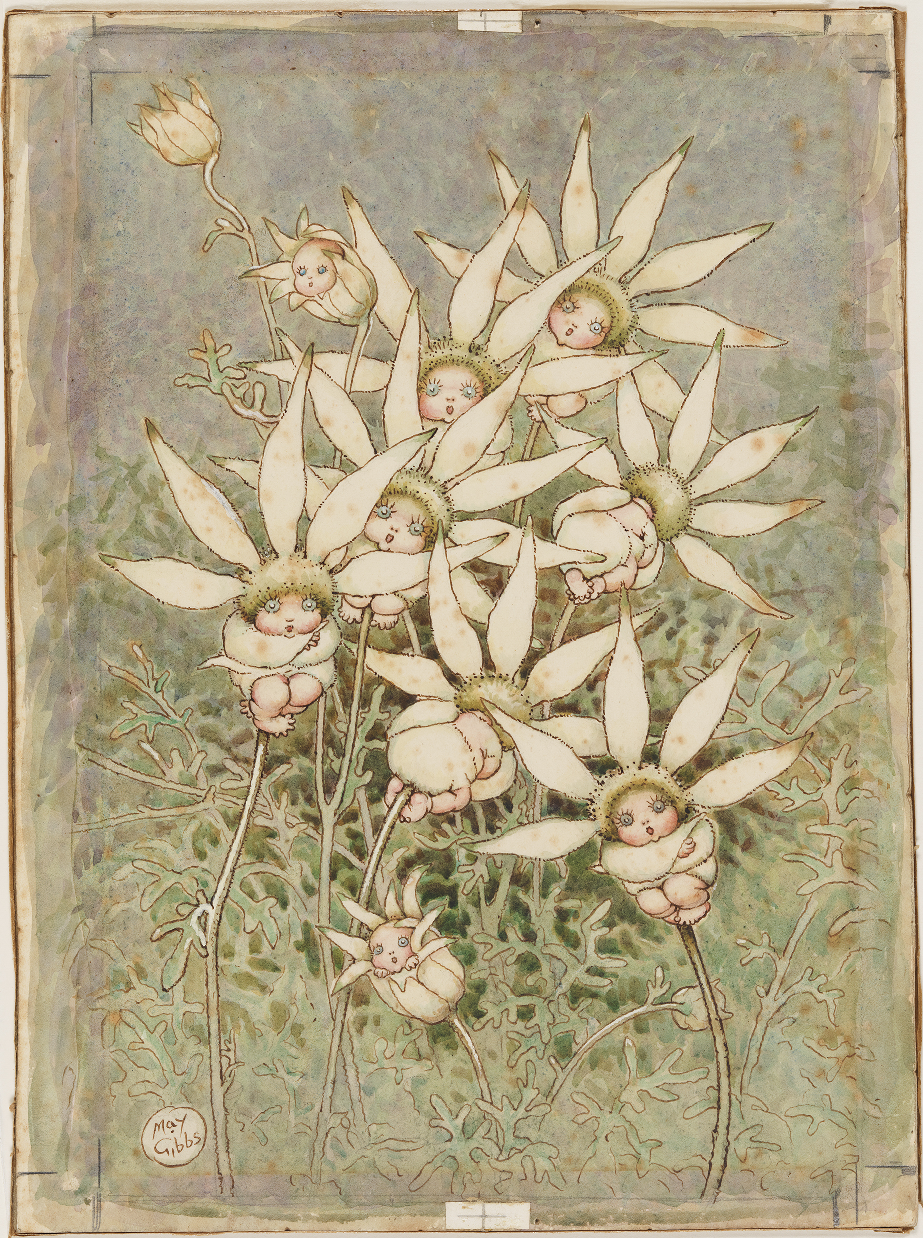 A watercolour painting of little babies with big, blue eyes appearing to grow out of the centre of Flannel flowers