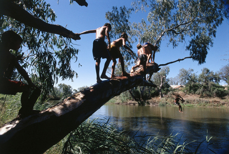 children jumping from a tree