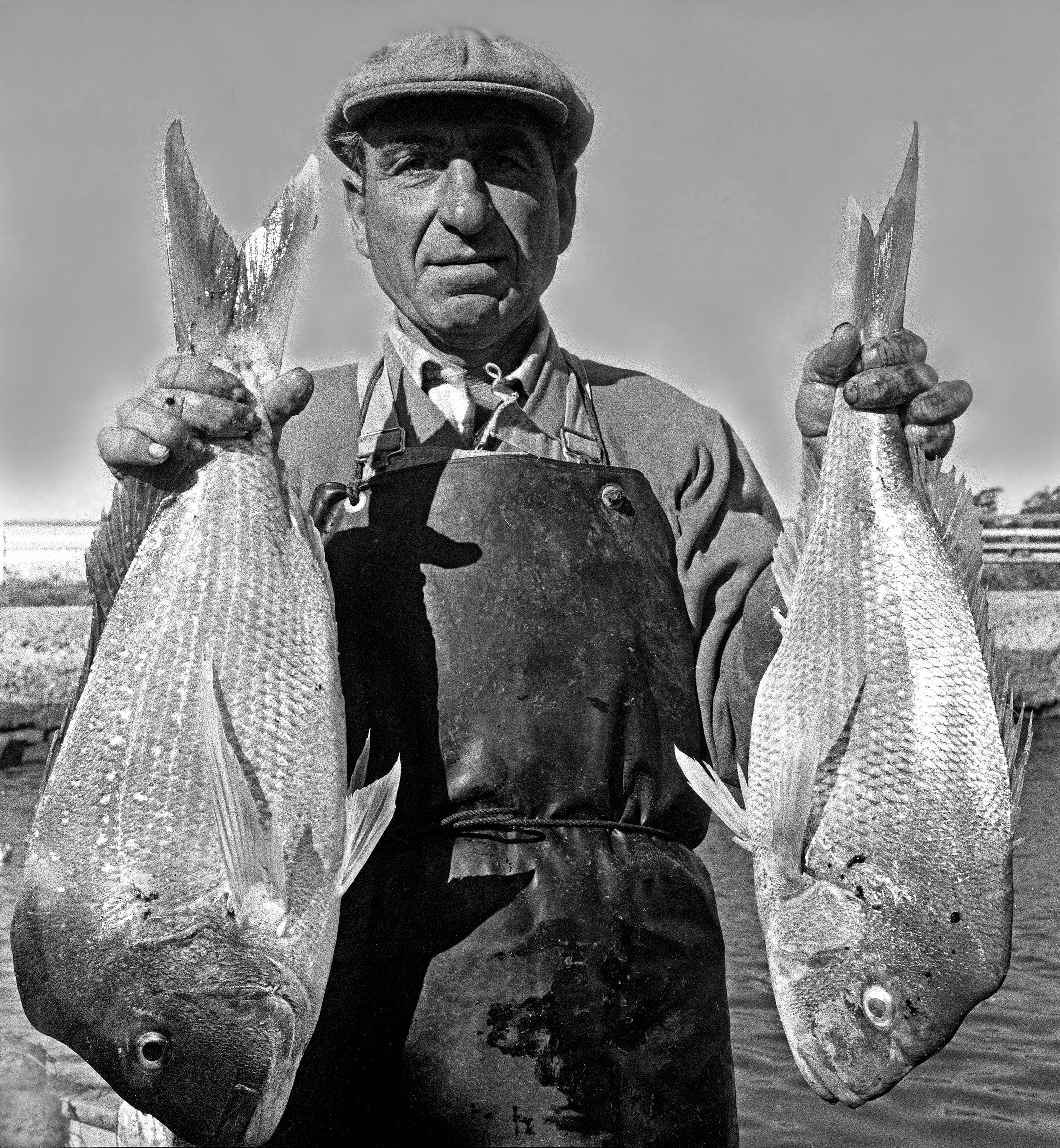 Ulladulla snapper fisherman, 1959, by Jeff Carter, PXD 1070