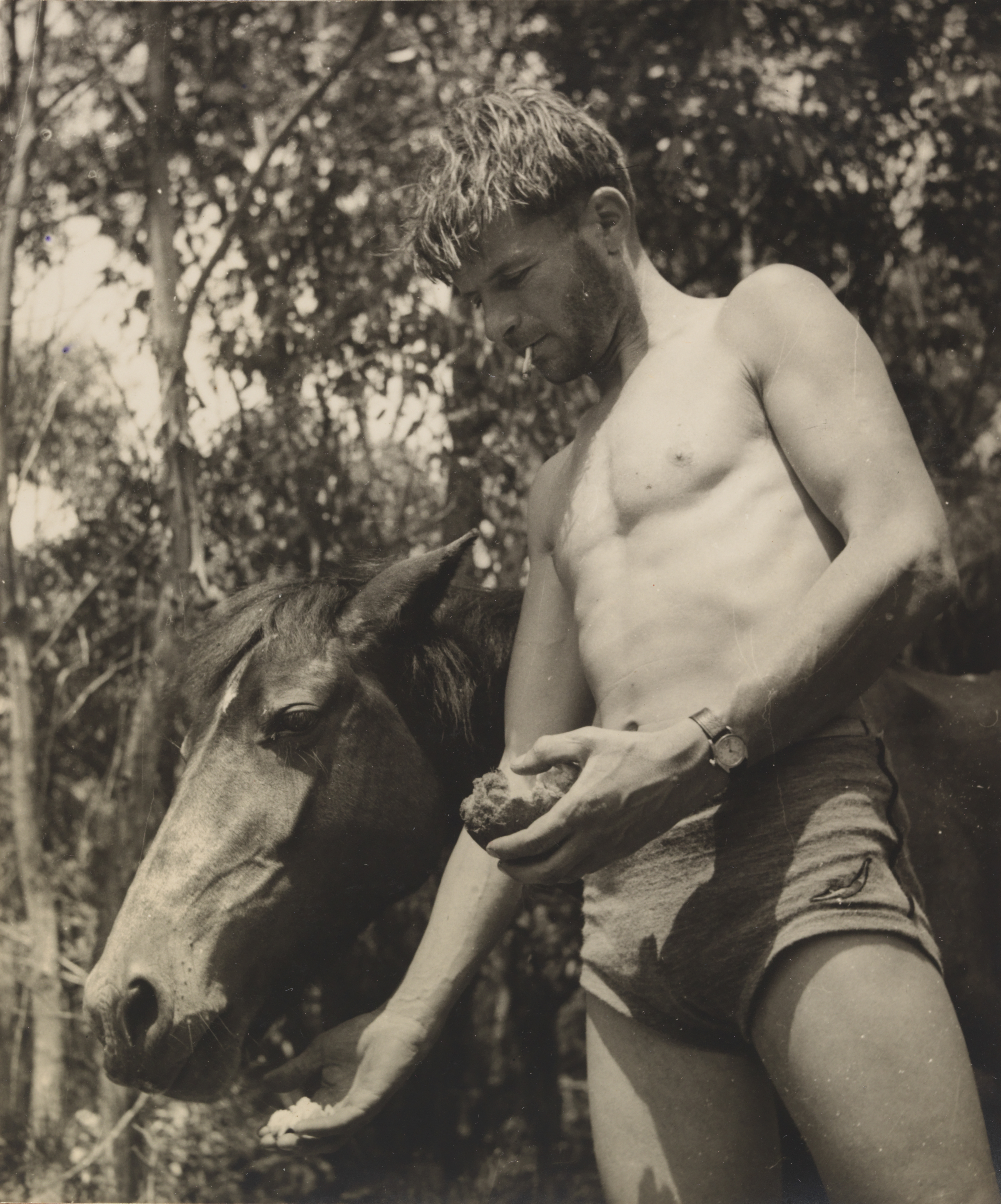 A sepia photograph of a man, wearing 30s style bathing shorts who stands feeding a horse with a crust of bread. A cigarette hangs from his lips. 