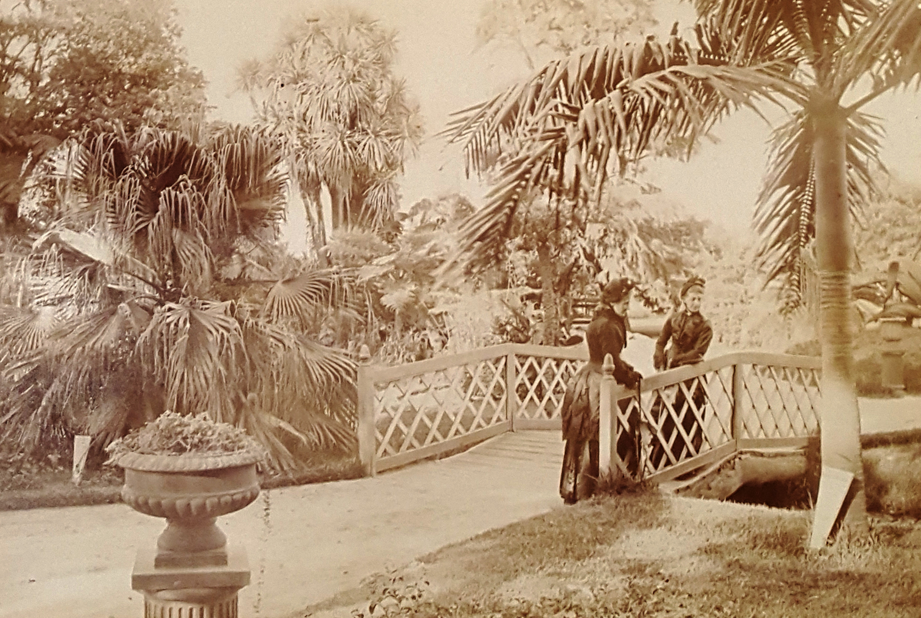Botanical Gardens Sydney, 1886