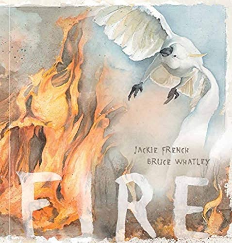 Book cover - Fire