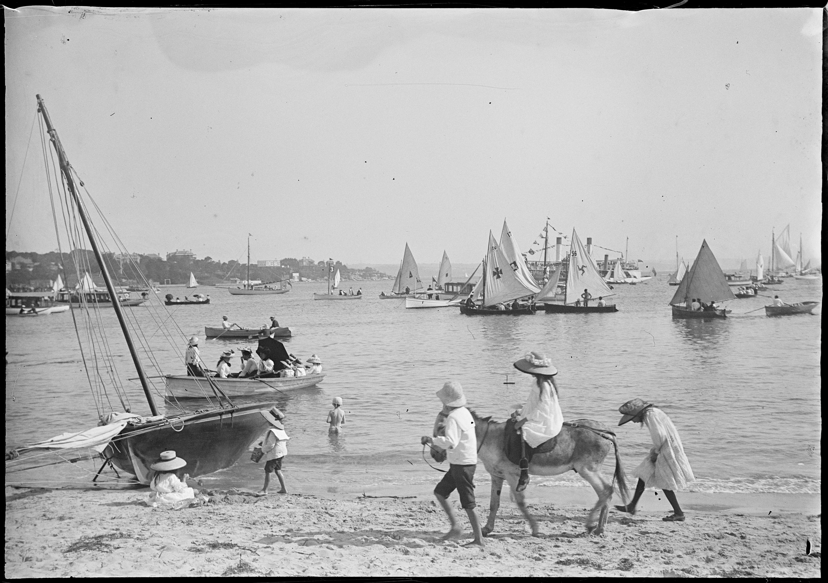 Donkey rides at Manly Cove, with children on sand and sail boats 
