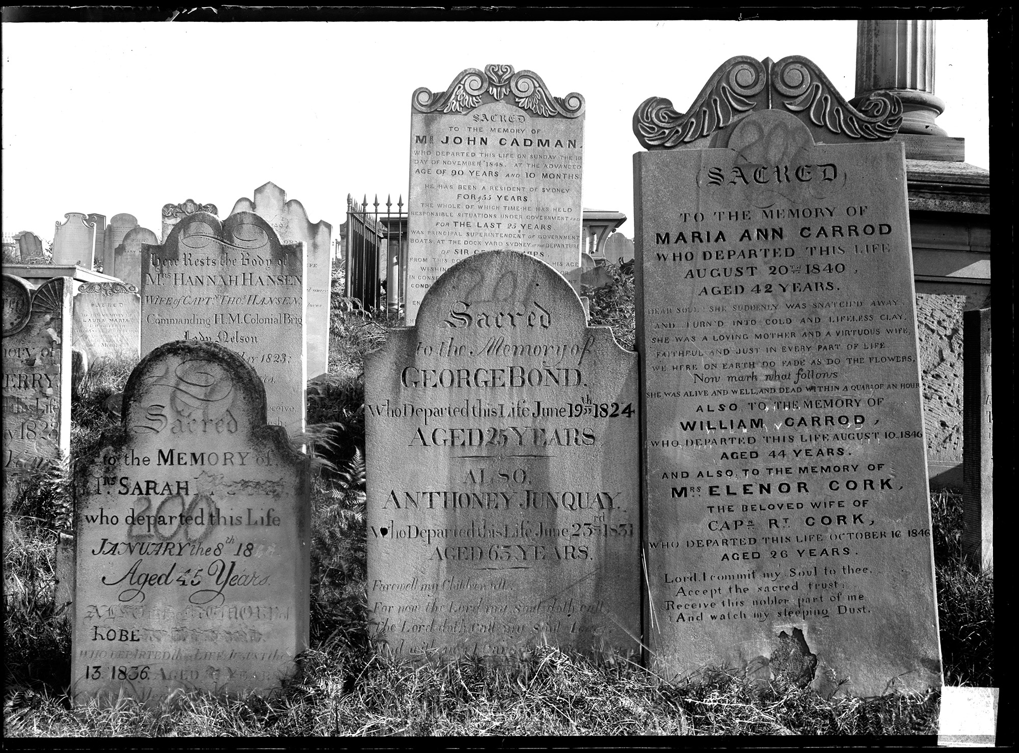 Black and white photograph of gravestones in a cemetery. 