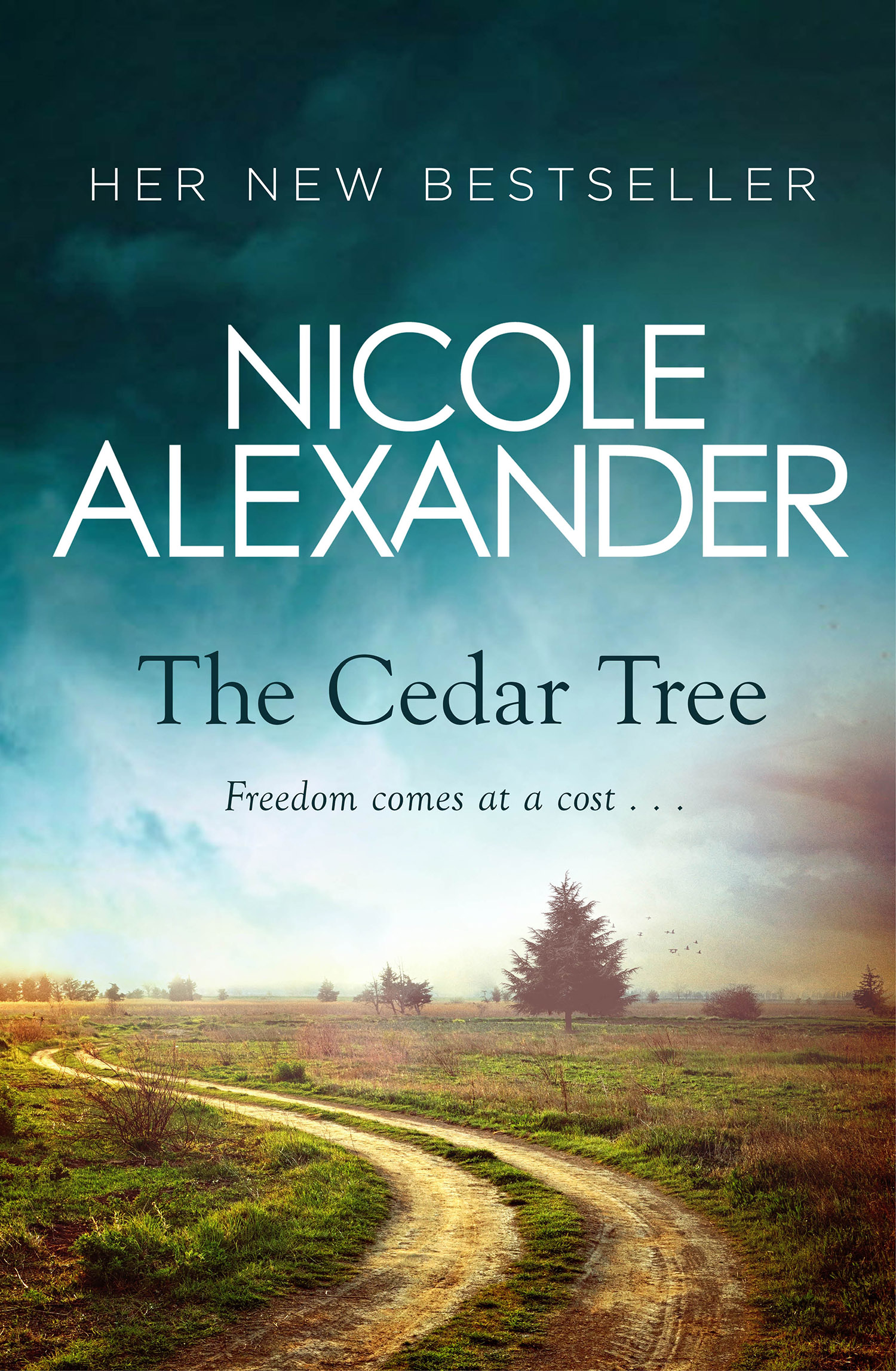 The cedar tree book by Nicole Alexander