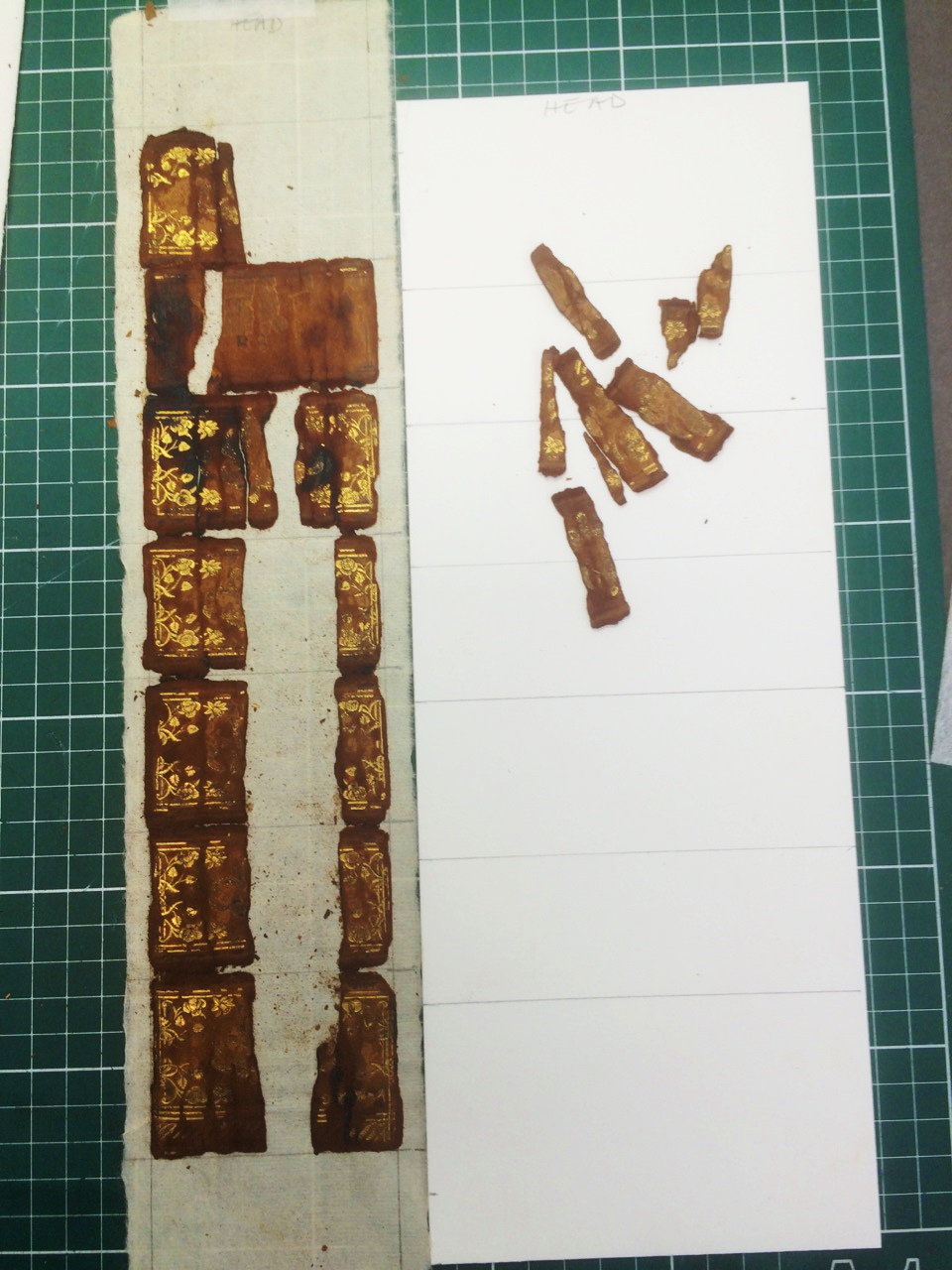 Spine of book in pieces