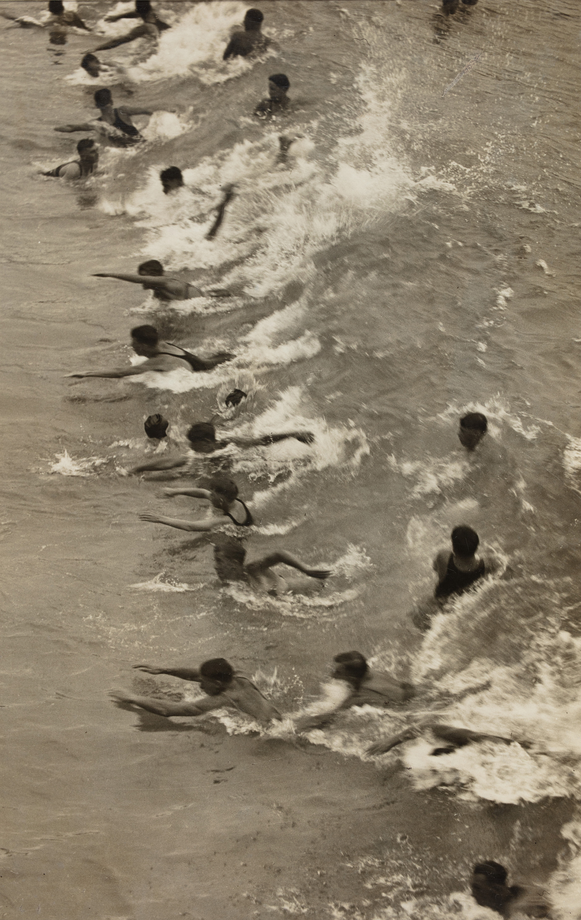 People bodysurfing at Bondi beach.
