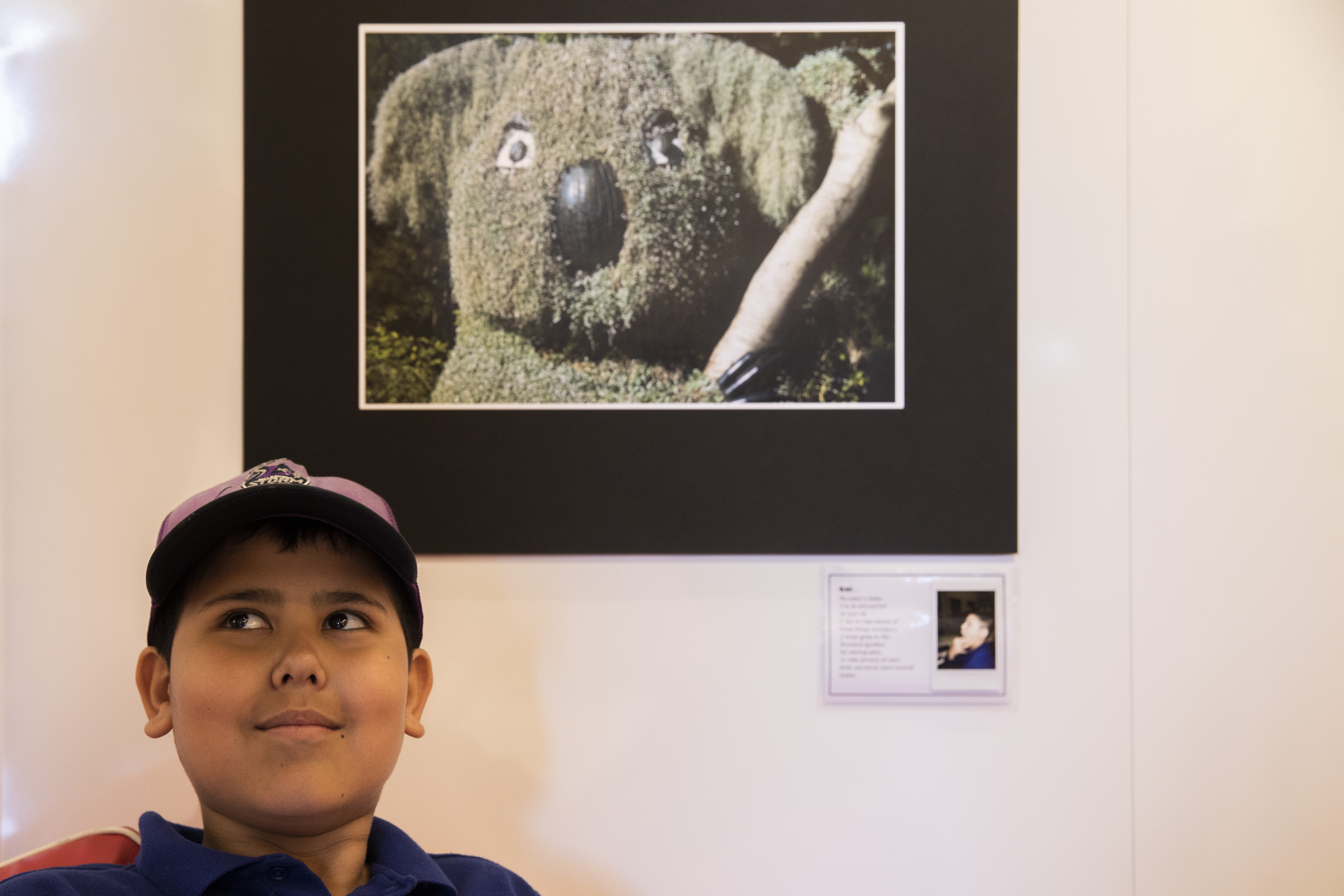 A young boy standing in front of a photograph of a koala