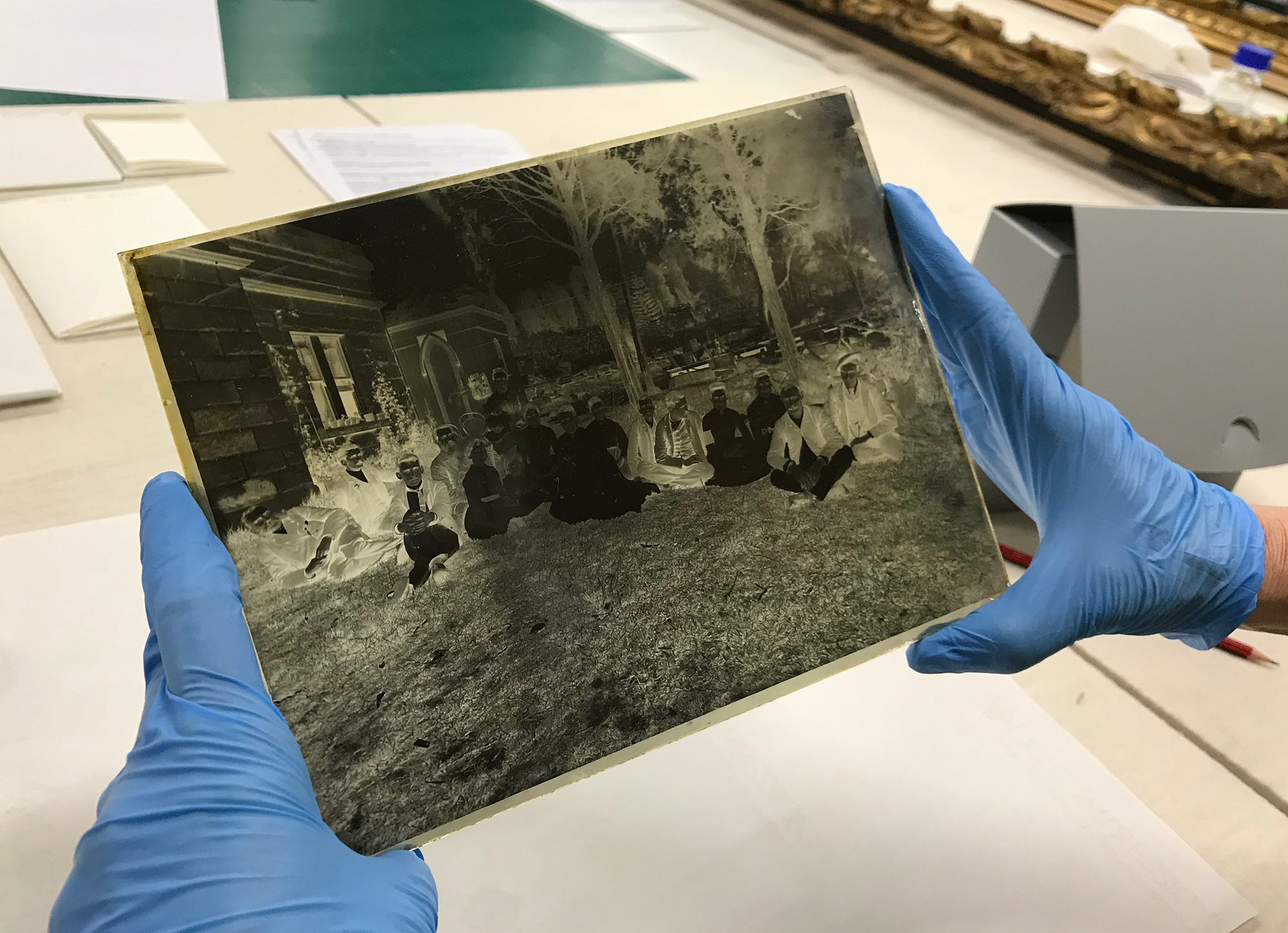 Photograph of blue latex gloved hands, holding a glass plate negative.