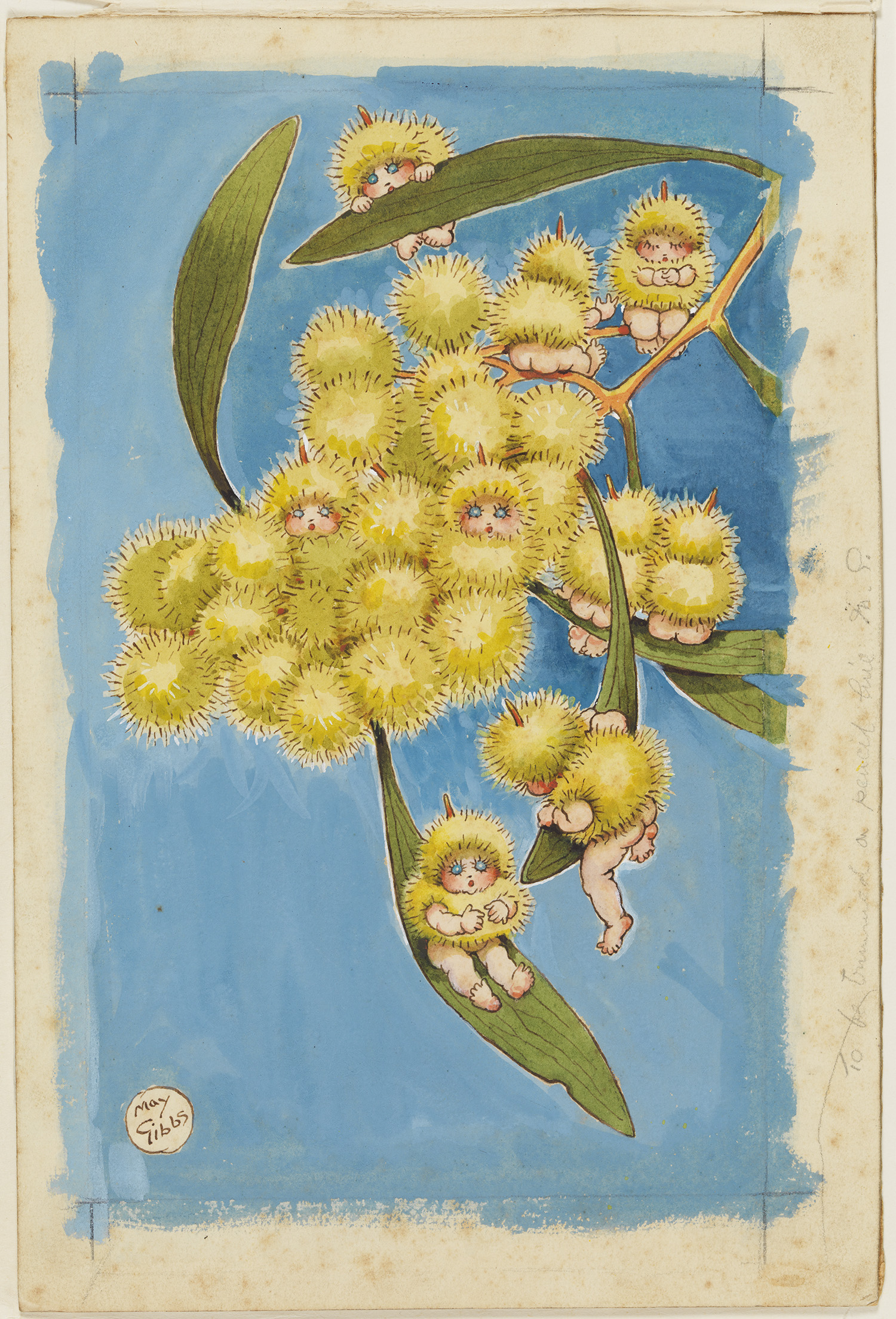 A colour watercolour illustration of babies popping out of wattle flowers.
