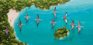 A group of birds fly over a bay