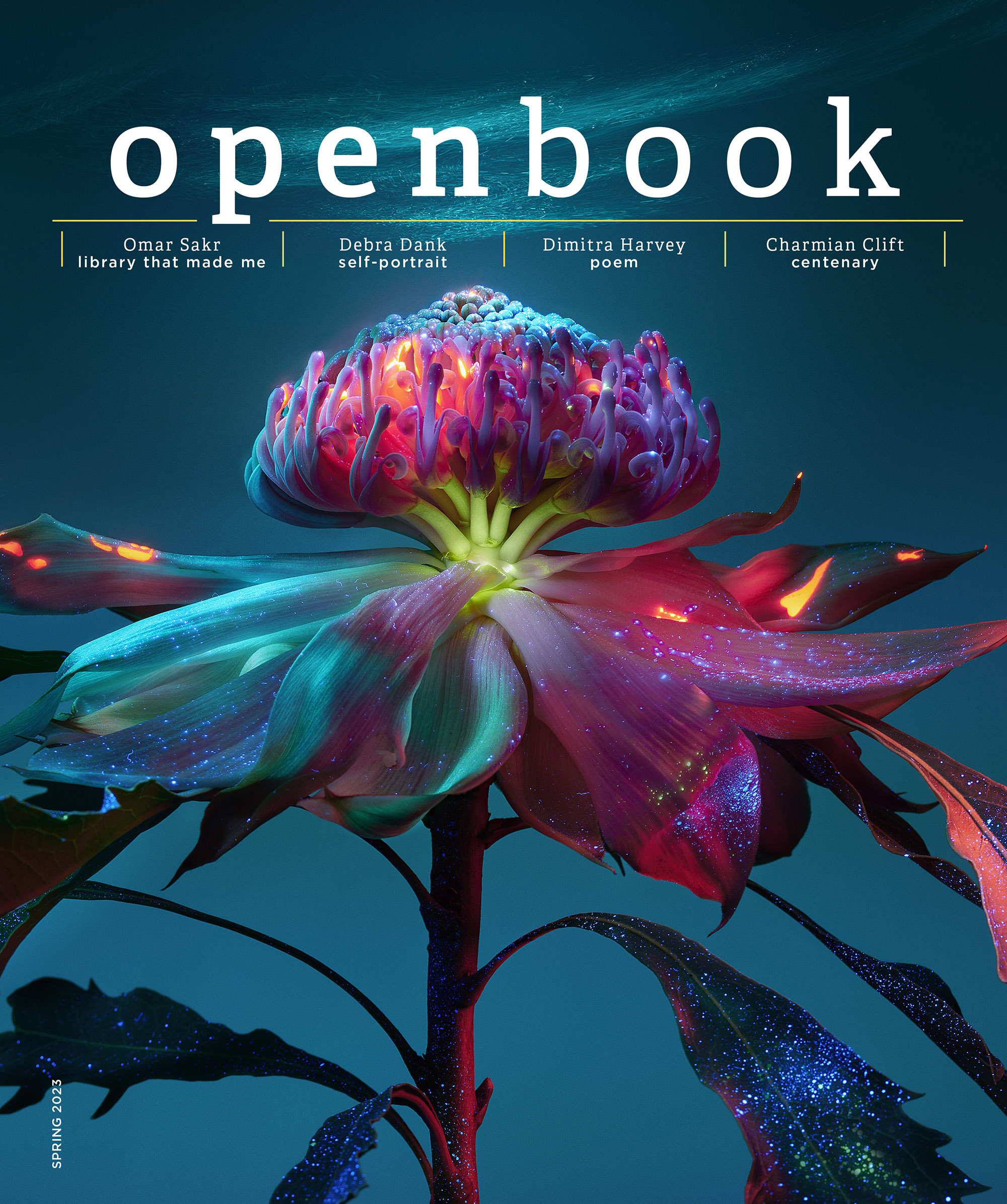 Cover of Openbook spring 2023 issue.
