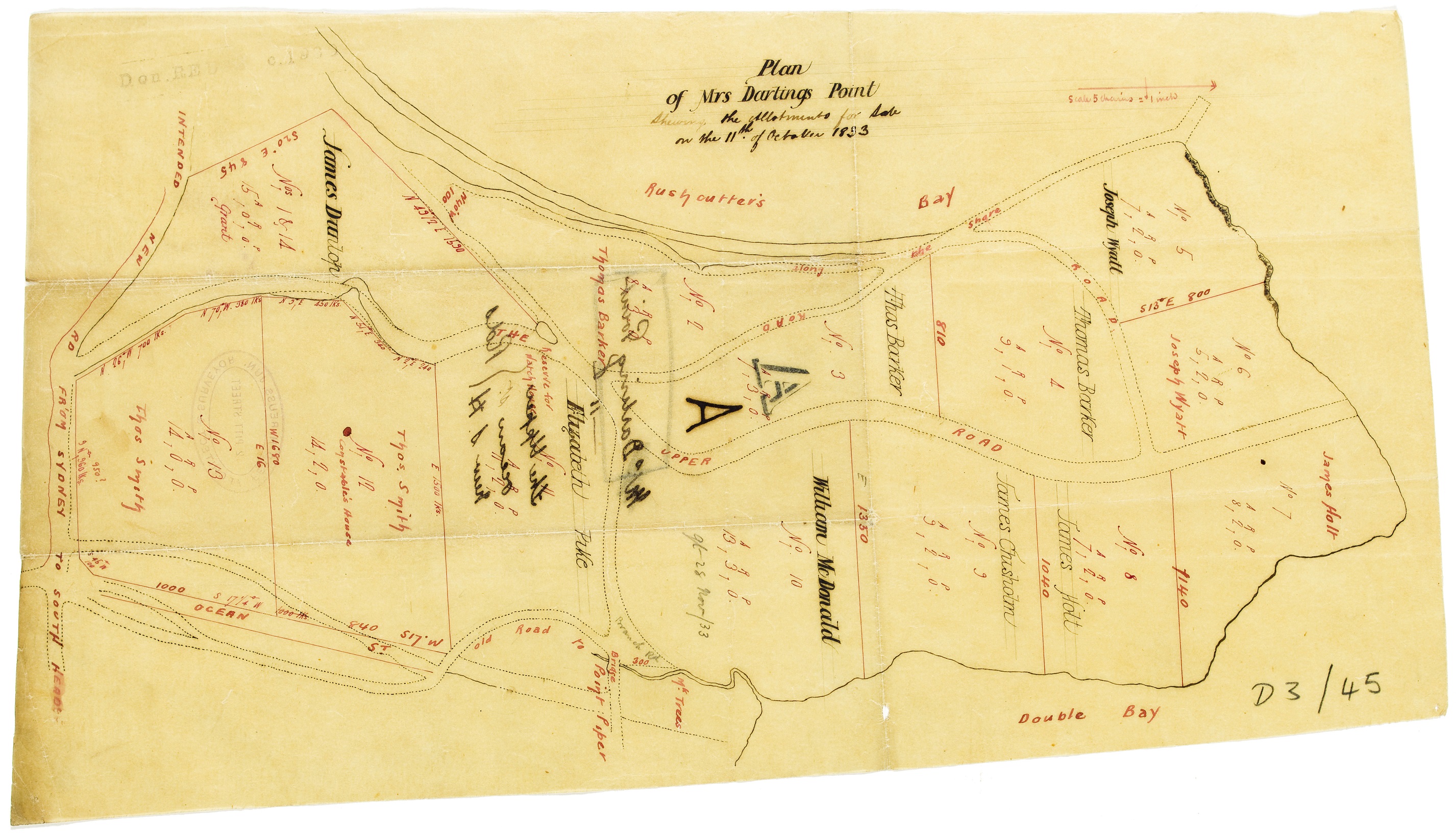 plan_for_mrs_darlings_point_shewing_the_allotments_for_sale.jpg