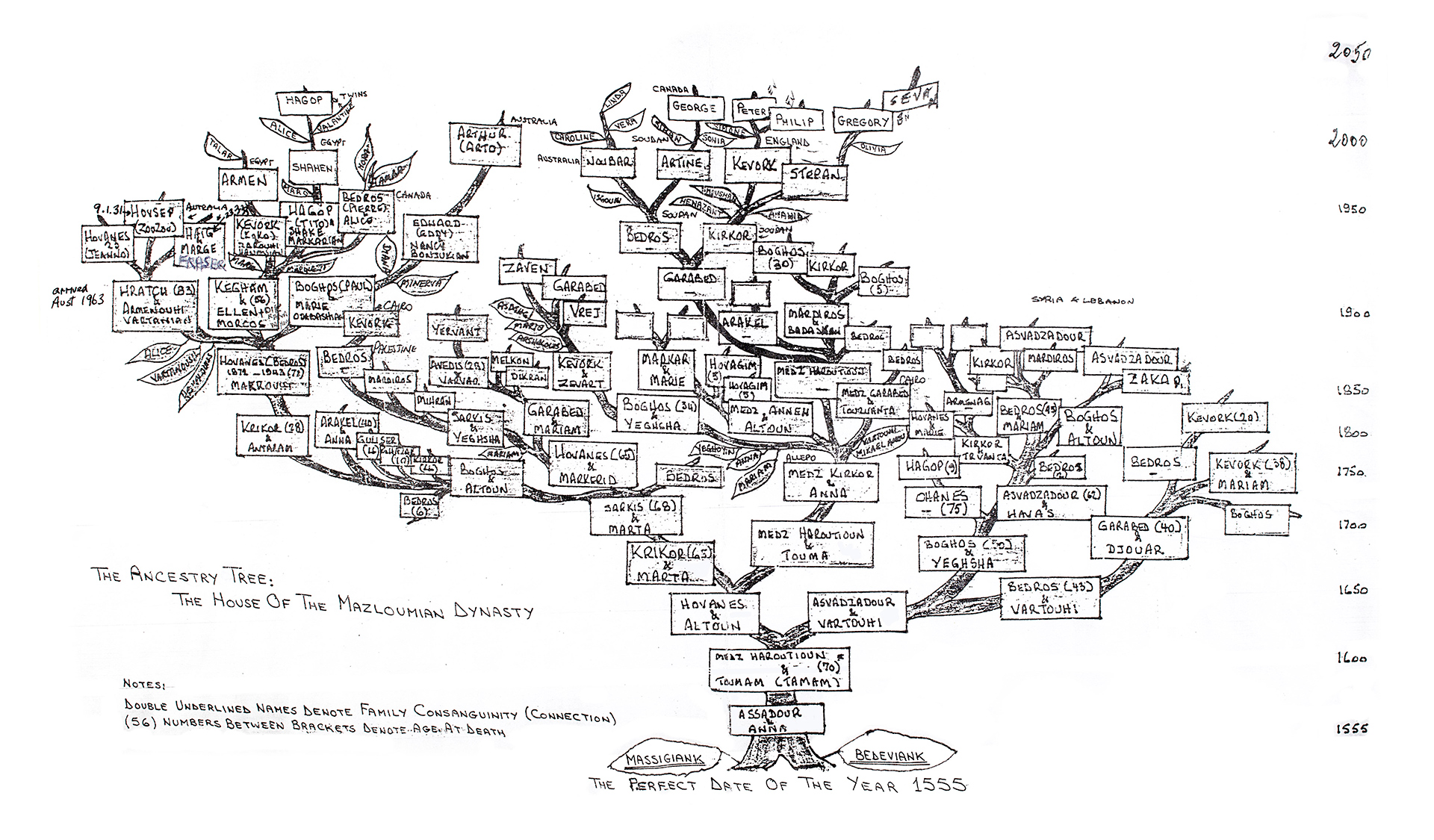 An intricately drawn family tree.