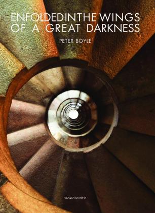 Cover image of the book Enfolded in the WIngs of a Great Darkness.