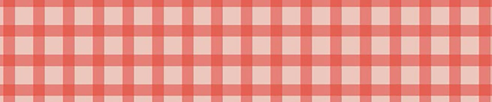 Red and blush pink gingham pattern