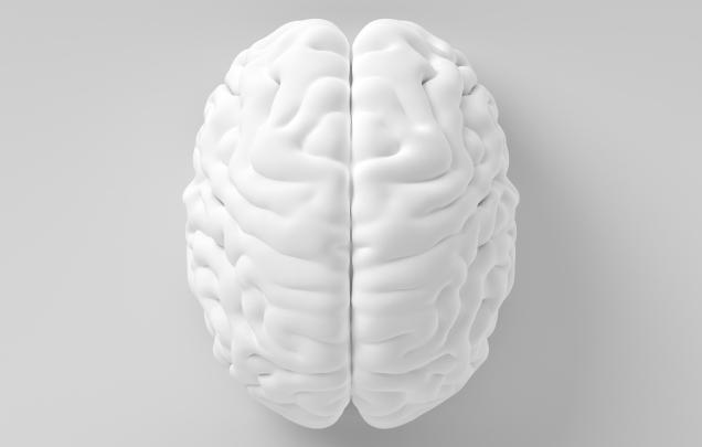 White model of brain on grey background