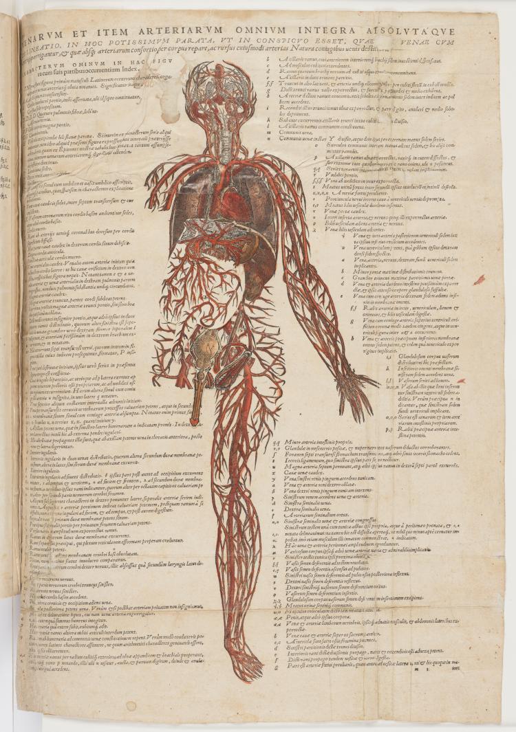Page in book open on image of internal organs of the body.