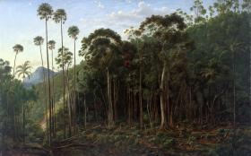 A painting of tall trees in dense growth.