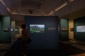 Dyarubbin exhibition in the First Nations Gallery, March 2022