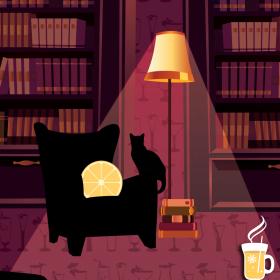 Black cat in silhouette among bookshelves and couch