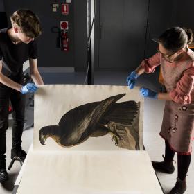 State Library staff digitising painting