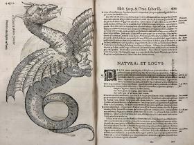 Illustration of a dragon in an old book. 