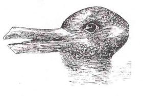 Optical illusion of a duck or rabbit