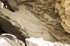 Sandstone detail taken for the Eight Days in Kamay exhibition, Kamay National Park, Botany, 2020. Photo by Joy Lai