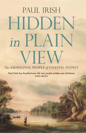 book cover image of hidden in plain view 