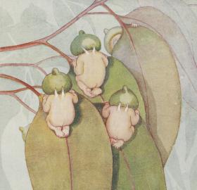 A watercolour illustration of three little babies wearing gum-nut hats, peering over the edge of a gum leaf they are clinging to.
