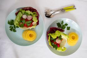 Plates of salad