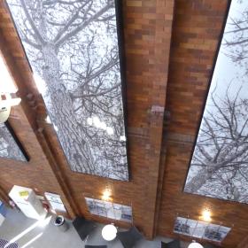 Internal view of building looking down to floor below with images of trees on wall