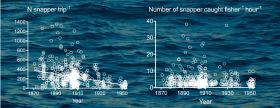 These graphs of quantitative data collated from the archives show the number of snapper caught per fisher per trip, and the number of snapper caught per fisher per hour..