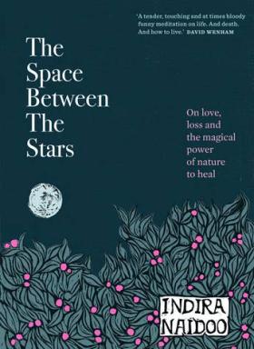 Cover of 'The Space Between the Stars'
