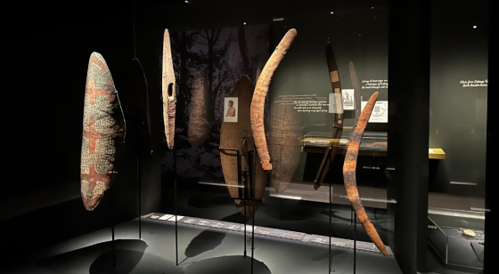 Image of Aboriginal objects in glass case