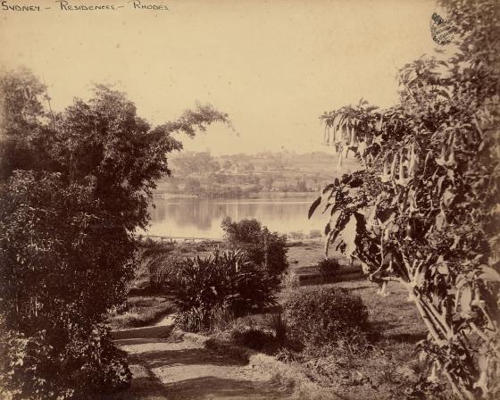 Photograph of a lake through some bushes, with a landscape and some building structures in the background.