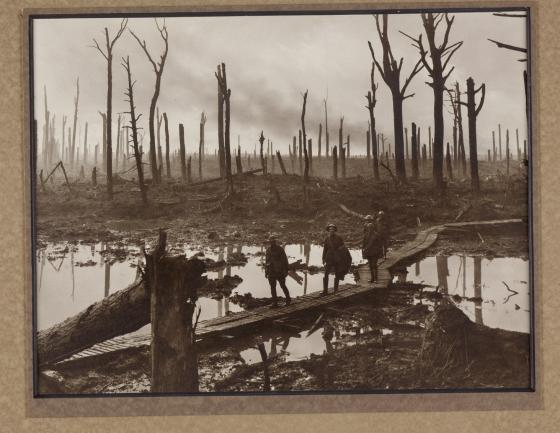 The shell shattered areas of Chateau Wood, 1917.