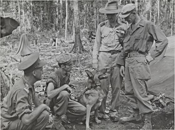 Military operations - the islands, New Guinea area - Goodenough Island