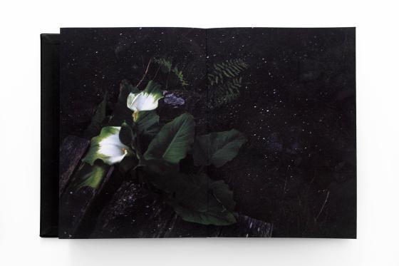 A book open to a photograph of flowers.