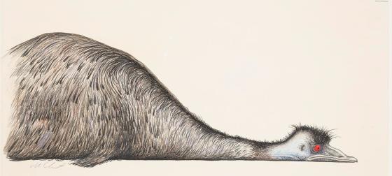A drawing of an emu lying on the ground.