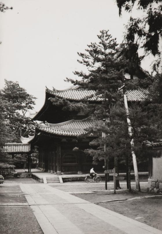 A black and white photograph of a walkway leading to a Japanese temple.