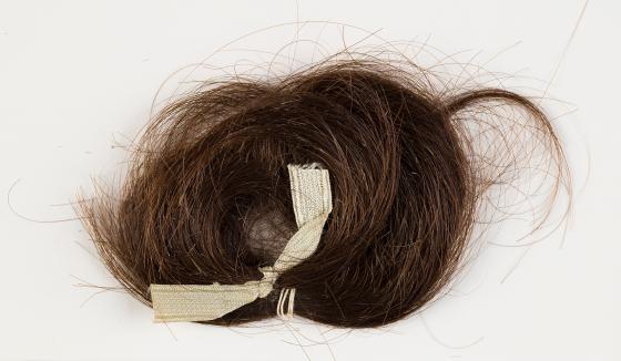 A lock of reddish brown hair, tied with a white ribbon.
