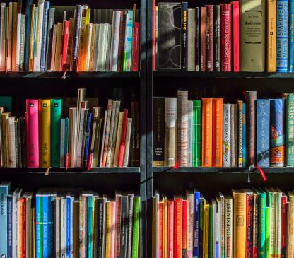 several shelves of colourful books with dappled light